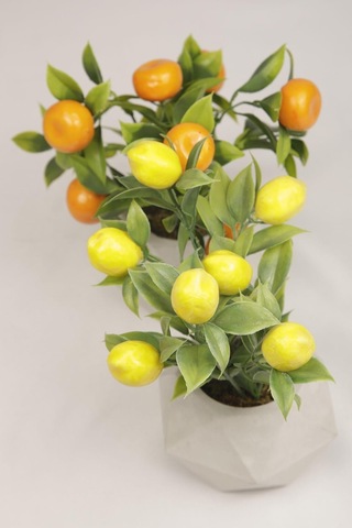 Yapay Bitki Geometrik Beton Saksıda Dekoratif Limon Ve Portakal Ağacı Tanzimi Turuncu-sarı-beyaz