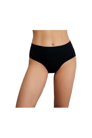 3 Lü Paket Eros Bayan Yüksek Bel Slip Külot Ersk710 001