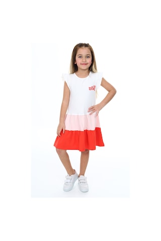 Toontoy Kız Çocuk Fırfırlı Garni Detaylı Elbise Pudra