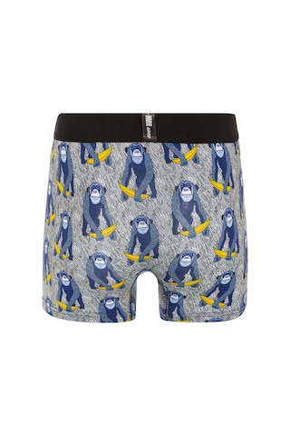 Farm Animals Monkey Banana Bue Desenli Boxer Çok Renkli