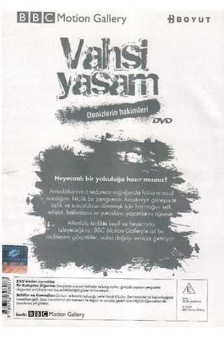 Bbc Motion Gallery - Vahşi Yaşam Denizlerin Hakimleri Kutuplarda Yaşam - Dvd