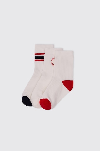 Panço Erkek Çocuk 3'lü Multi Çorap Seti 2612bk11015 Renkli