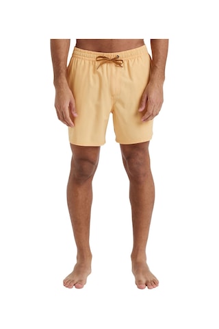 Quiksilver Surfsilk Solid Volley 16 Erkek Turuncu Mayoşort Turuncu