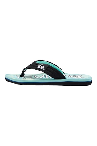Quıksılver Quiksilver Molokai Layback Iı Youth Erkek Çocuk Yeşil Terlik Xgby