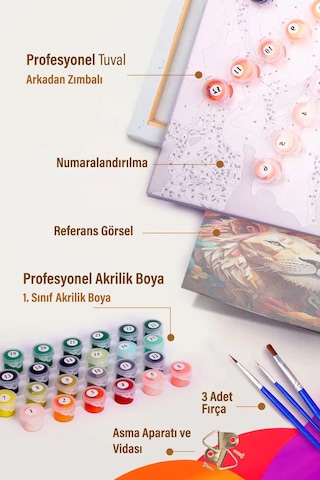 Moranka Sayılarla Boyama Tuval Seti Çıtalı 40x50 - Yalı Çapkını