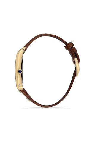 Momentus Cm365g-02kg Erkek Kol Saati Altın