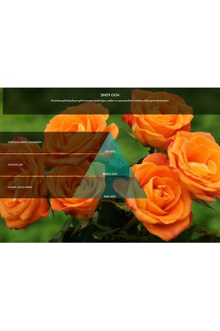 Flora Garden Koku Kartuşu (M5-M6)