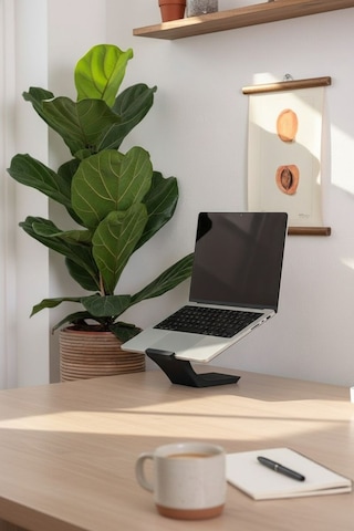 Ergonomik Dizüstü Bilgisayar / Laptop Standı Taşınabilir
