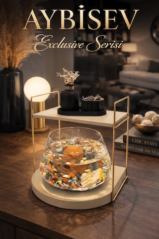 Reyo Ok-ay Store Düz Raflı Işıklı Lüks Cam Fanus İçinde Beta Balığı İçin Özel Tasarım Masa Üstü Dekoratif Akvaryum Gold-krem