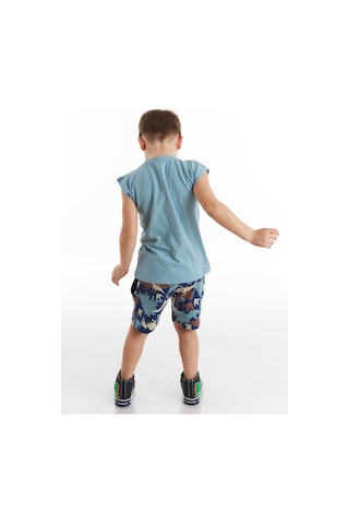 Denokids Titan Yaz Erkek Çocuk Şort Takım Çok Renkli