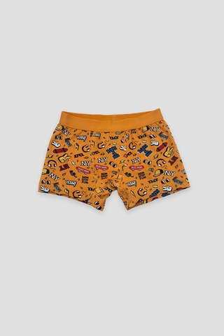 Defne Baby Erkek Çocuk Desenli Premium Pamuklu 2'li Boxer Seti Çok Renkli