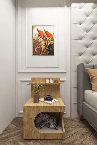 Kedi Evi Komodin,pet Komodin,yıkanabilir Minderli,atlantik Çam