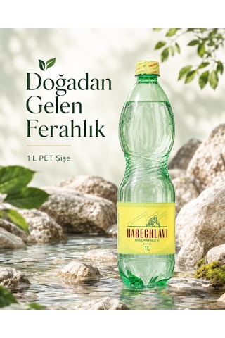 Nabeghlavi Pet 6 x 1 L Koli