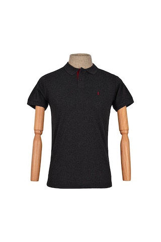 Cengiz İnler Polo Yaka Düz T-Shirt Slim (548479043)