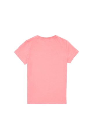 U.S. Polo Assn. Erkek Çocuk Pembe Bisiklet Yaka Tişört 50307172-VR041