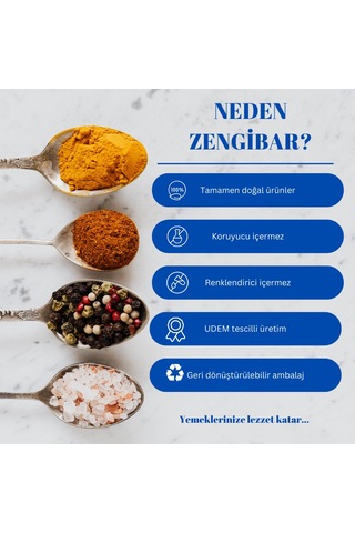Zengibar Salata Baharatı 1 KG