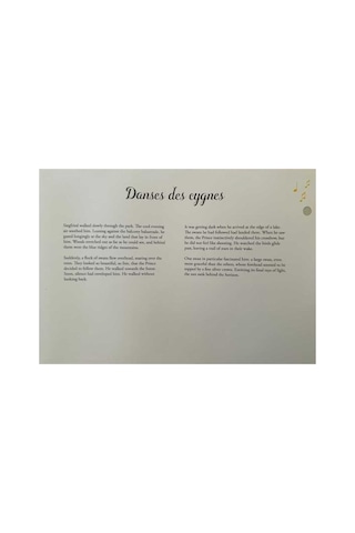 Auzou Swan Lake - Paper Theatre