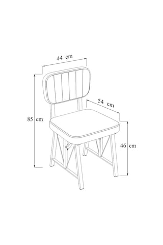 Hayat Serisi Mutfak Sandalyesi, Yemek, Bahçe, Kafe, Modern Sandalye 2 Adet - Antrasit Antrasit