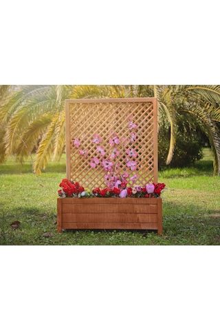 Mandu Ahşap Sarmaşık Saksı