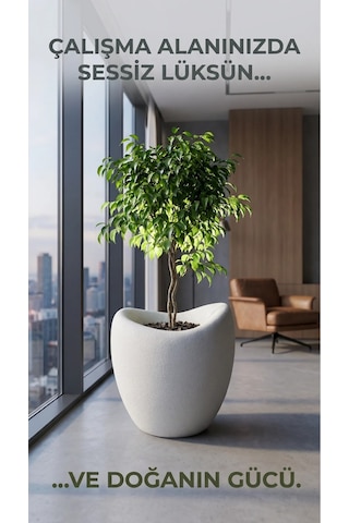 43x45 Cm Beton Dokulu Polyester Amorf Kırık Beyaz Dekoratif Saksı