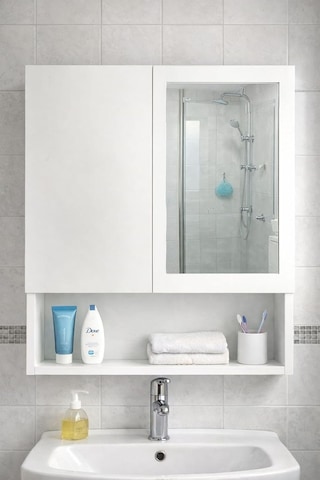 İki Kapaklı Aynalı Banyo Dolabı Çok Renkli
