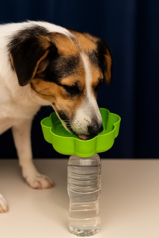 Açık Hava Evcil Hayvan Su Kabı - Köpekler Ve Kediler İçin