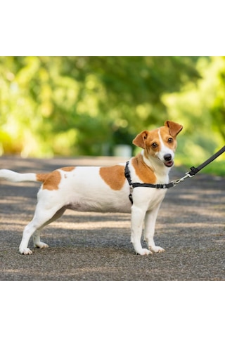 Tr Premier Easy Walk Köpek Koşum Takımı, Siyah/gri, Boyut L Genel