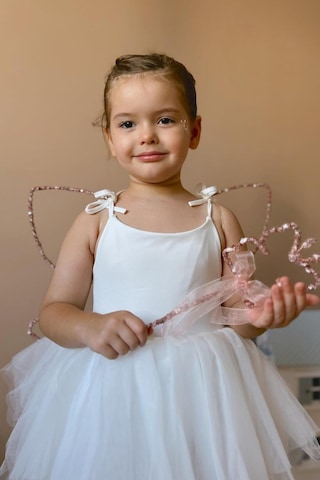 Le Mabelle Rose Pullu 2'li Kelebek Kanat Asa Set Rose