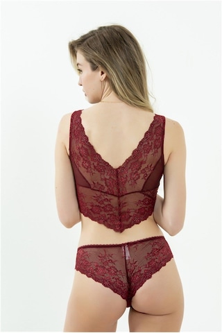 Magic Form 743 Kadın Arkası Dantel Leylak Kumaş Yüksek Bel Külot-bordo Bordo