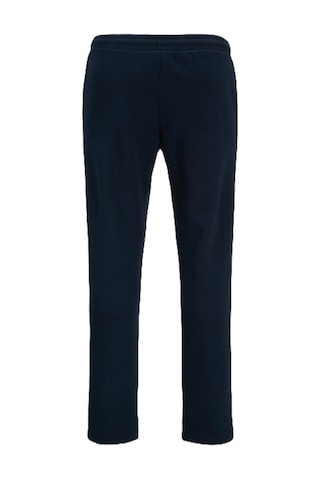 Jack & Jones Jack&jones Jpstgordon Pan Erkek Eşofman Altı 12310633 Lacivert