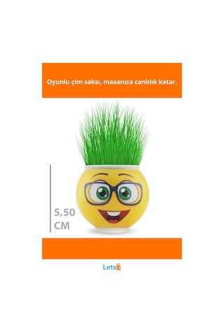 Eğlenceli Emoji Figürlü Çim Adam Saksı 5,5 Cm 1 Adet