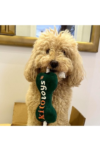 Tr Toys Kemik Peluş Köpek Oyuncağı