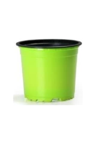 50 Adet Renkli Saksı Vakum Saksı Üretim Saksısı Ucuz Saksı