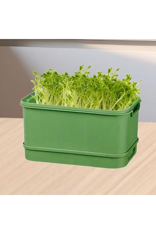 Pazly Tohum Tepesi Suntek Mutfak Maş İçin Filiz Fasulyesi Geniş Fi