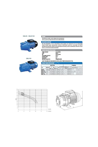 Sumak SMJT150 1.1 Kw 1.5 Hp 2900 D/D 380/400 Volt Trifaze Kendinden Emişli Jet Pompa