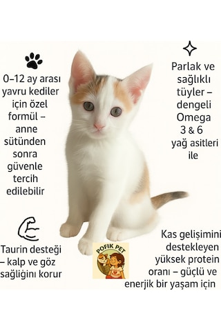 Reflex Kitten Tavuklu Yavru Kedi Maması 1 Kg X 2 Adet Toplam 2 Kg 2 Li Fırsat Paketi