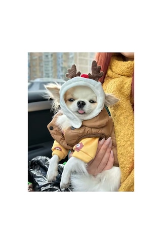 Geyikli Kışlık Köpek Şapkası - Köpek Beresi Küçük Ve Orta Irk Köpekler