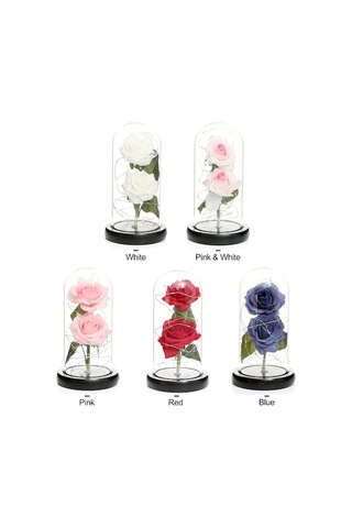 Novahub Cam Kubbe Kutuda Yapay Gül Led Işıkla, Sonsuza Kadar Gül Çiçeği Anneler Günü Sevgililer Günü Düğün Festivali Yıldönümü Hediyesi