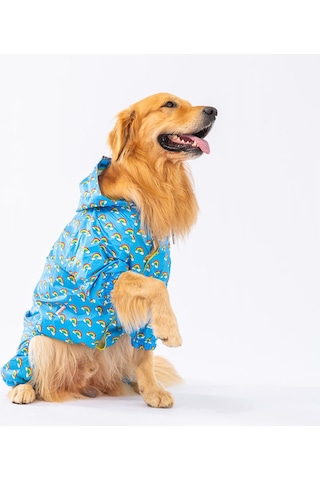 Pawstar İrides Fileli Orta ve Büyük Irk Köpek Tulum Yağmurluğu