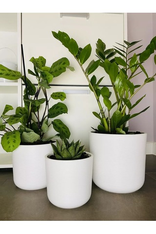 Live-in-green Ev İçin Dekoratif Saksı/zeminde Kullanılabilen/plastik Büyük Çiçek Saksısı 159796063