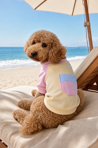 Soft Sun Köpek Tişörtü Cepli Şeker Renkli Yazlık Köpek Kıyafeti Küçük Irklar İçin Soft Sun Köpek Tişörtü Cepli Şeker Renkli Yazlık Köpek Kıyafeti Küçük Irklar İçin