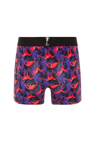 Farm Animals Red Monkey Desenli Boxer