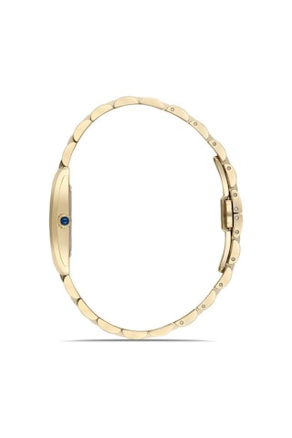 Hislon Classic Queen Ql149g-08sg Kadın Kol Saati Çok Renkli
