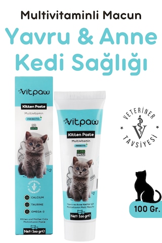 Vitpaw Kitten & Mom Paste