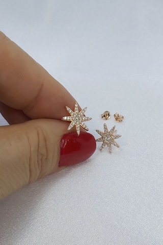 925 Ayar Rose Yıldız Gümüş Küpe