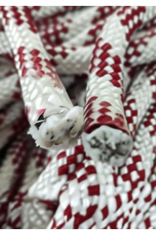 10 Mm İskota İp Halat 24 Metre Dayanıklı Çok Amaçlı Halat T