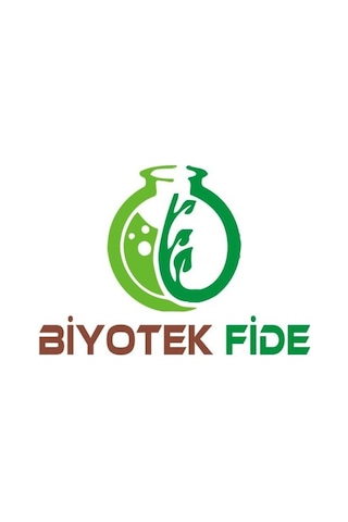 3 Yaş Aşılı Bodur Mayer Limon Fidanı. Torbada