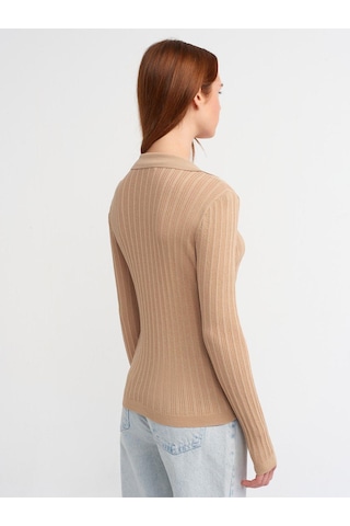Dilvin 10526 Polo Yaka Çiçek Detaylı Transparan Triko Bluz-bej-565 Bej