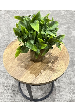 Dekoratif Eskitme Gri Saksıda Gerçekçi Yapay Yeşil Bitki - Modern Masa Ve Raf Çiçeği 24x18 Cm Yeşil