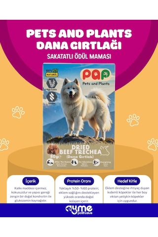 Pets And Plants Pap Dana Gırtlak Sakat Et 80 G